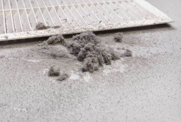 Best Residential Air Duct Cleaning  in Croom, MD