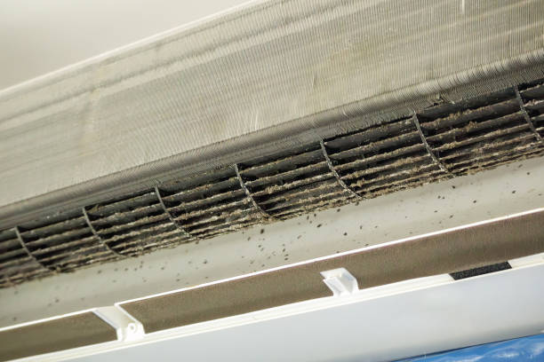 Best Affordable Air Duct Cleaning  in Croom, MD
